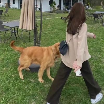老少名侦探