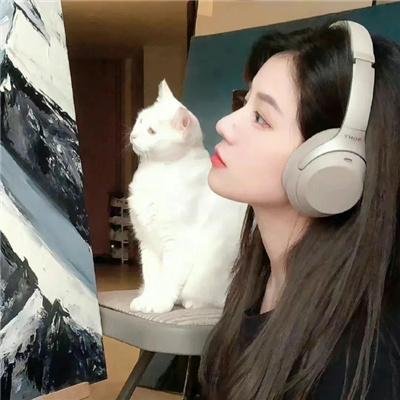 暗金丑岛君：完结篇